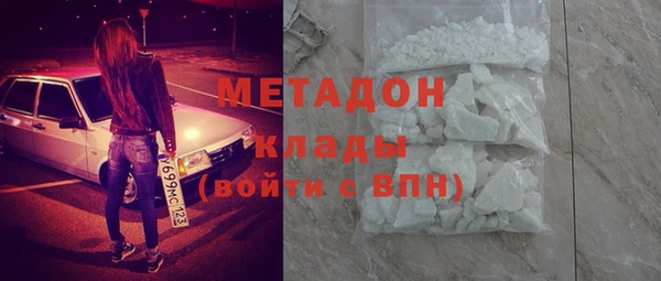 индика Алексин